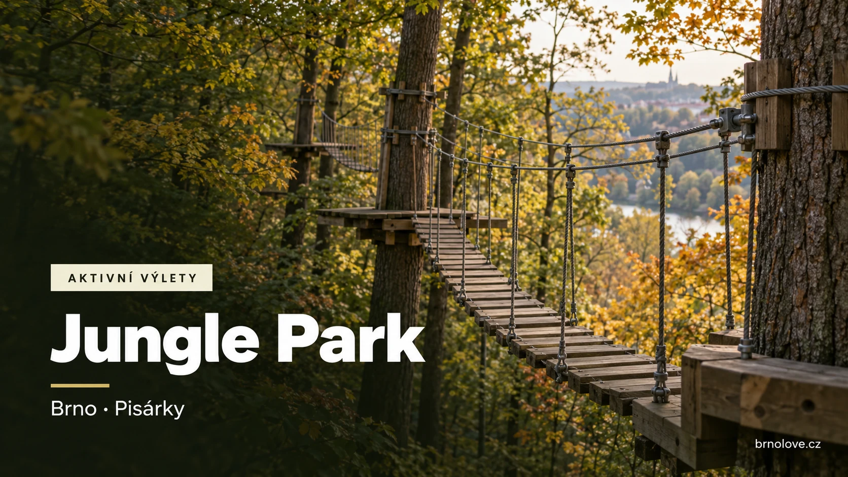Ilustrační lanová lávka mezi stromy v podzimním lese – Jungle Park, Brno