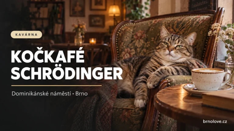 Ilustrační odpočívající kočka vedle kávy v retro prostředí – Kočkafé Schrödinger