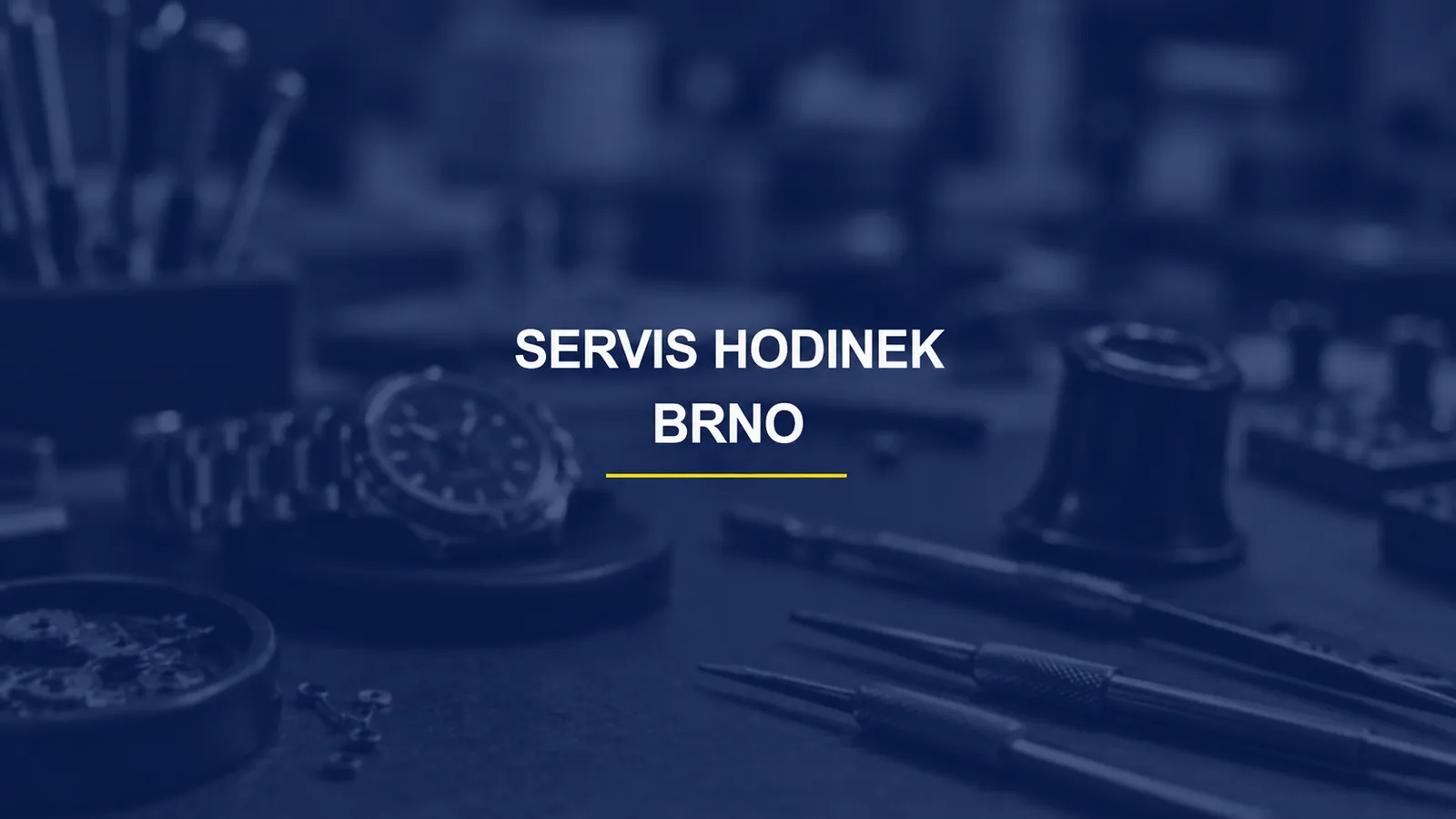 SERVIS HODINEK / BRNO