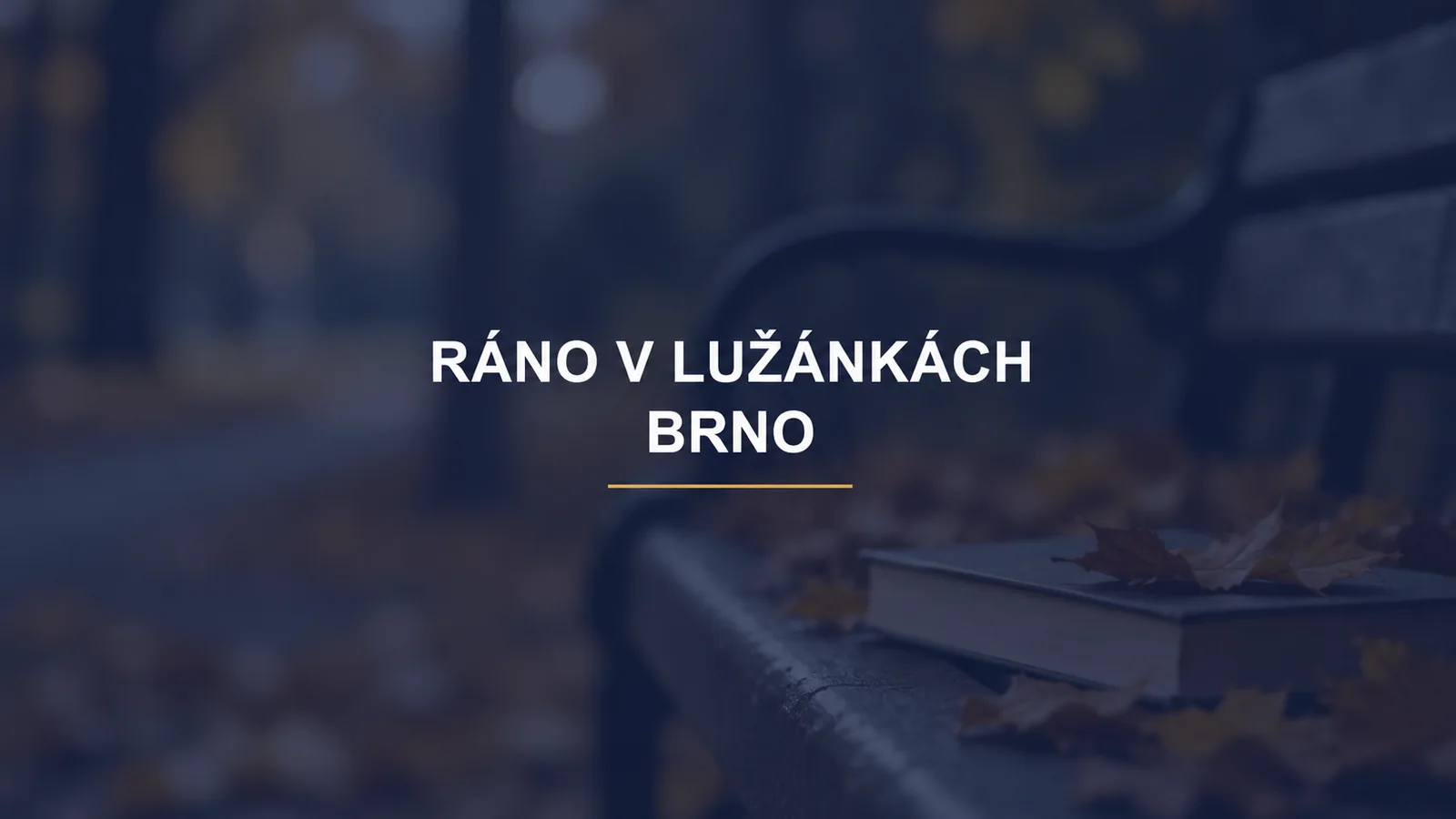Podzimní magazín BrnoLove: Podzimní ráno v Lužánkách: procházka, čtení a káva