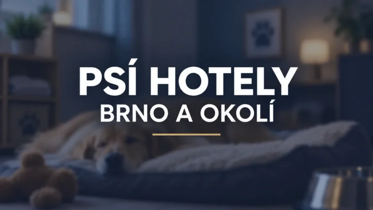 Psí hotely v Brně a okolí: podmínky přijetí a rezervace