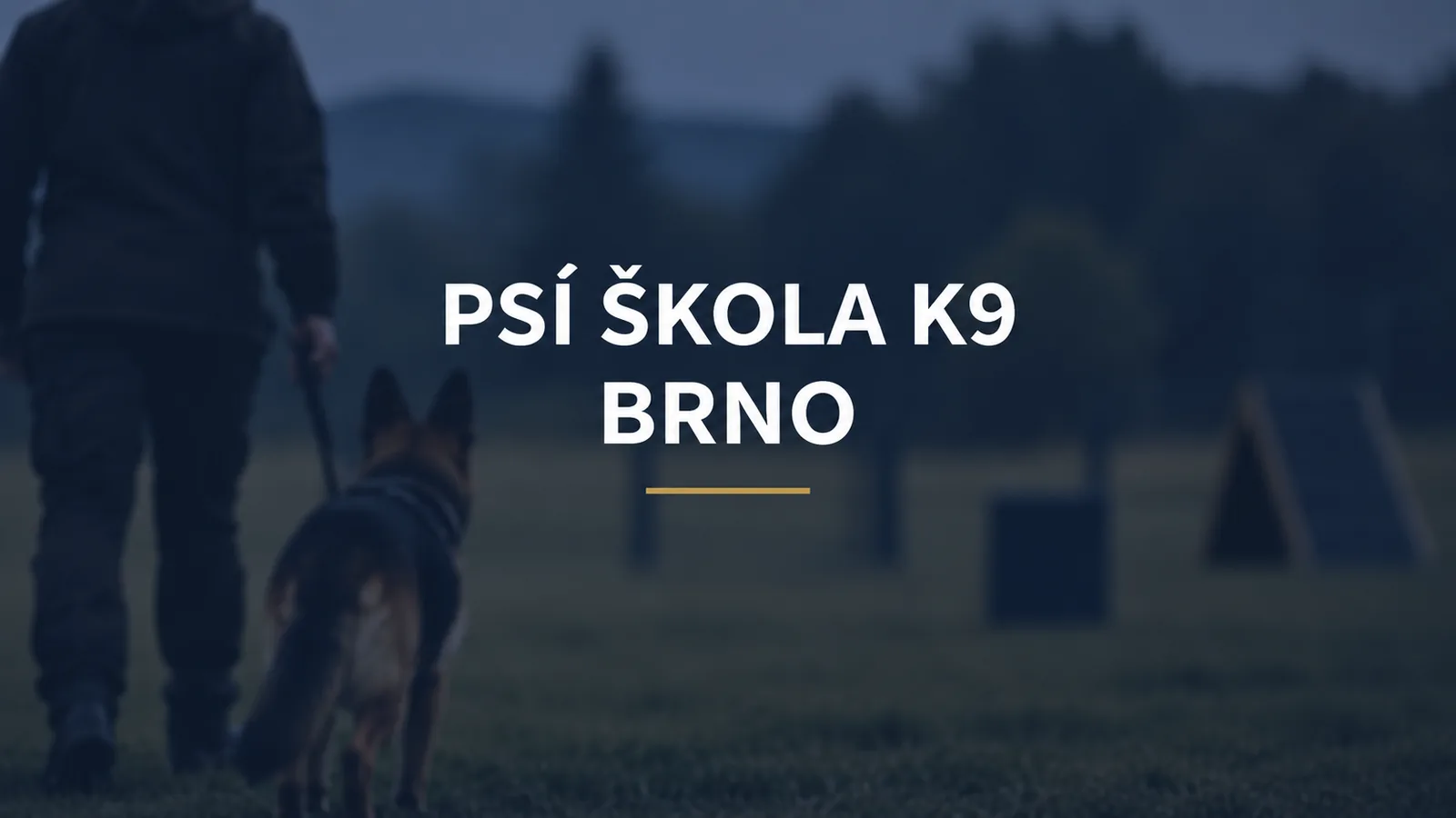 Psí škola K9 Brno: kurzy, cvičiště a denní školka