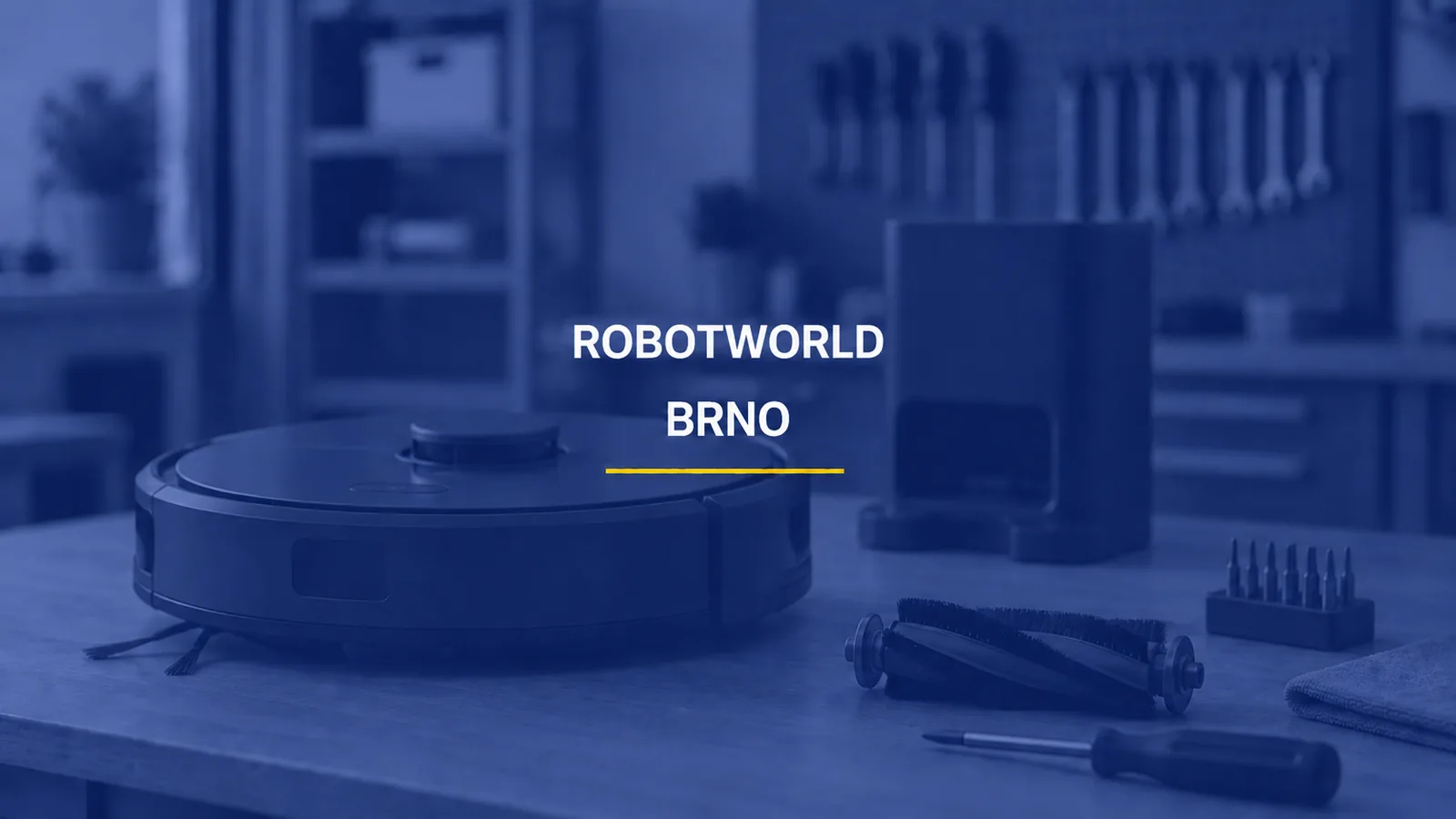 ROBOTWORLD / BRNO