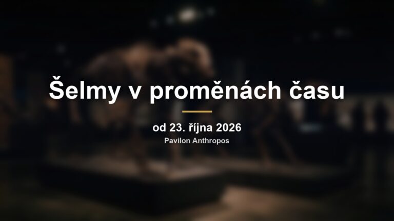 Rozmazané kostry pravěkých šelem s nápisem Šelmy v proměnách času