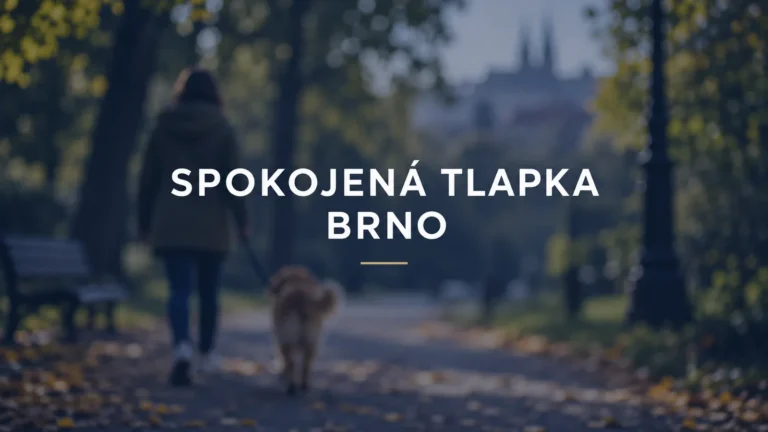 Spokojená Tlapka Brno: venčení a péče o psa doma
