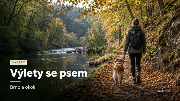 Ilustrační scéna procházky se psem na vodítku po podzimní cestě u řeky