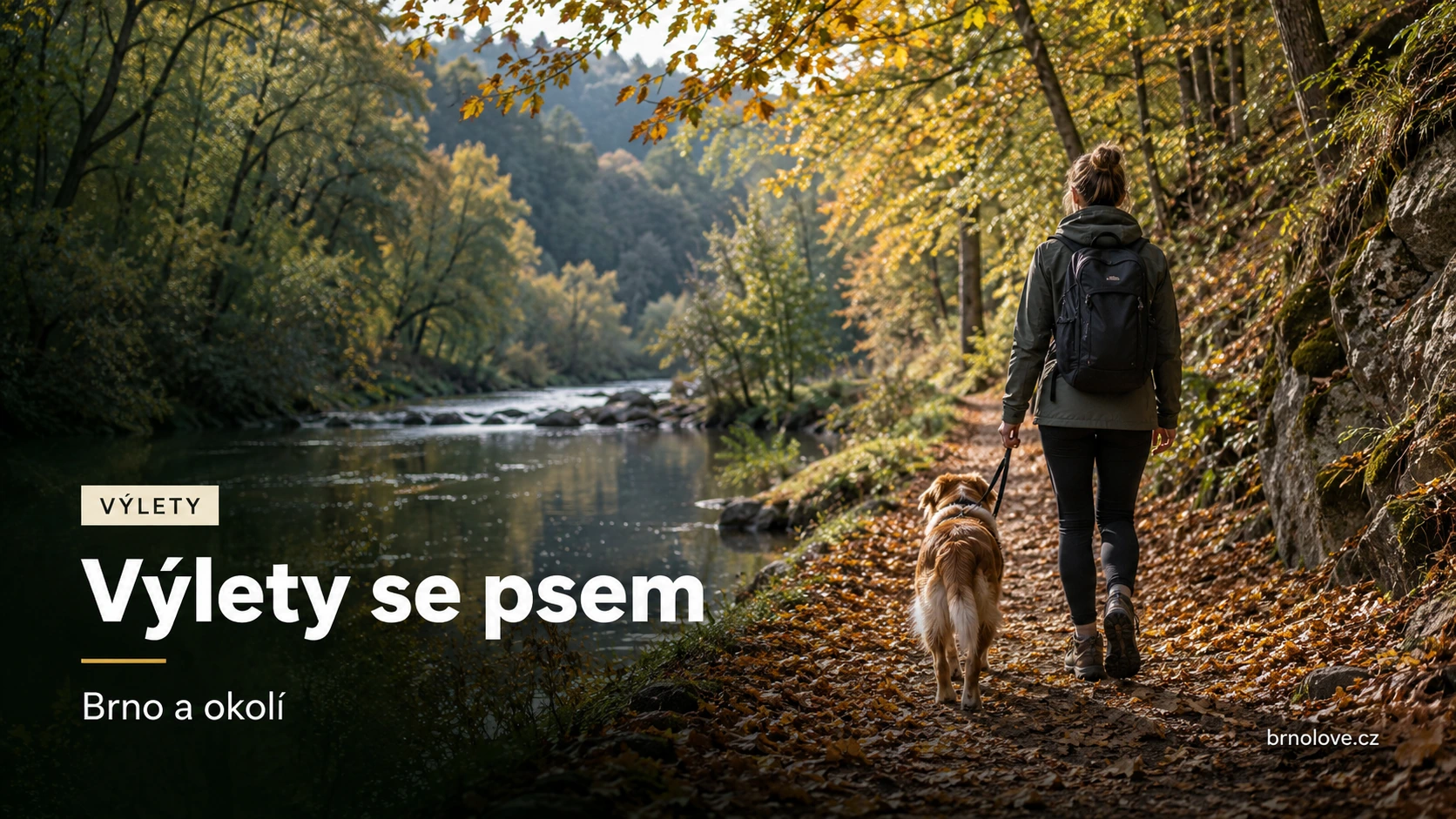 Ilustrační scéna procházky se psem na vodítku po podzimní cestě u řeky