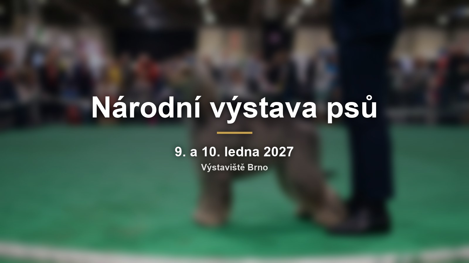 Rozmazaný výstavní kruh se psem a nápisem Národní výstava psů a termínem