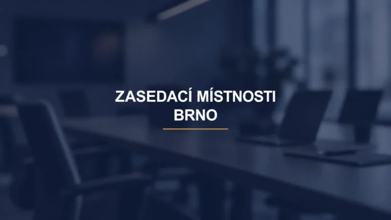 ZASEDACÍ MÍSTNOSTI / BRNO