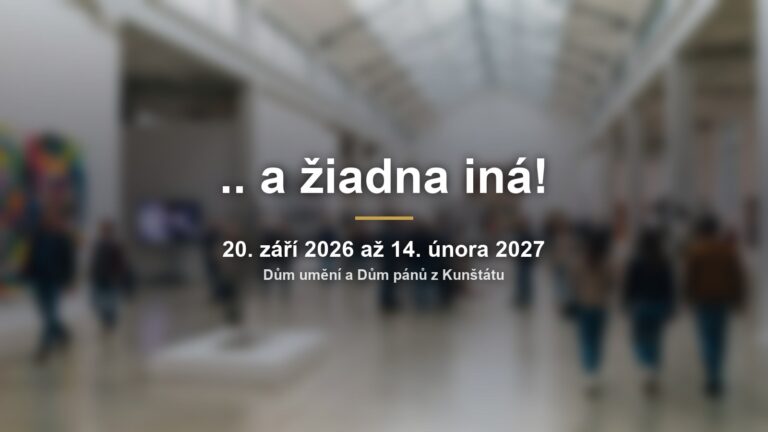 „.. a žiadna iná!“: přehlídka slovenské scény v Domě umění